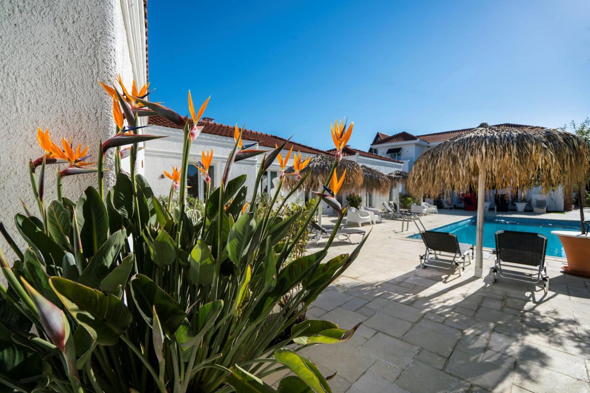 Hotel Maris Vama Veche Exteriér fotografie